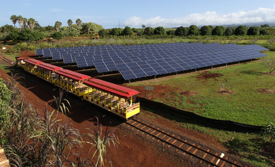 Dole Plantation and Processing Facility